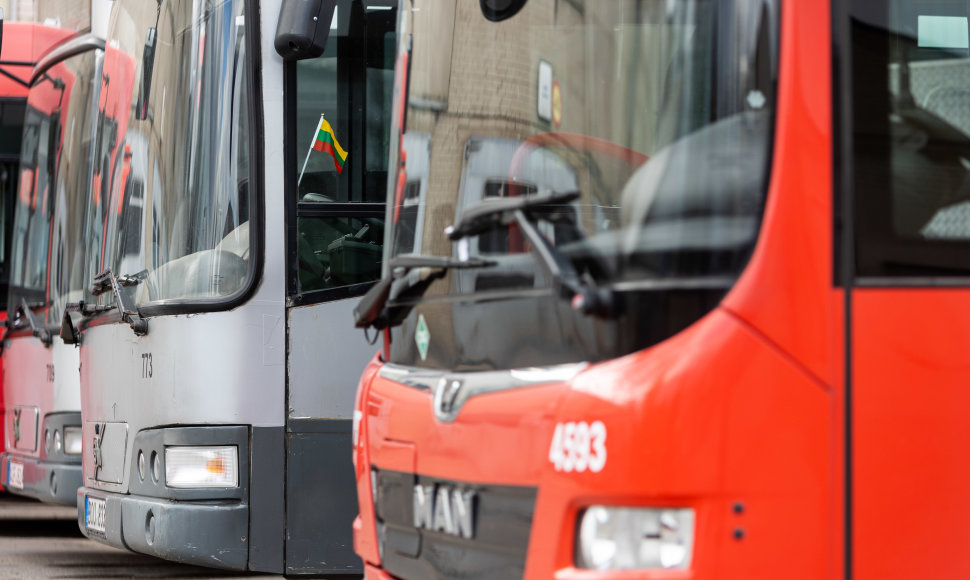 Vilniaus autobusų parko autobusai