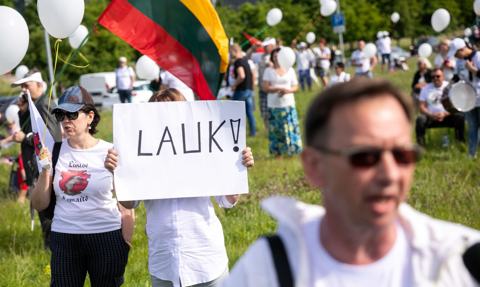 Šeimos gynimo maršo dalyvių protestas prie Seimo