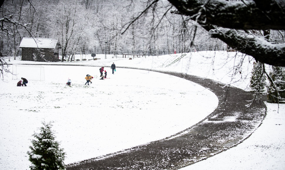 Žiema aplankė Lietuvą: sniegas toliau džiugina gyventojus