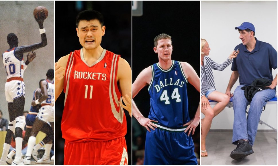 NBA milžinai: M.Bolas, Yao Mingas, Sh.Bradley, G.Murešanas