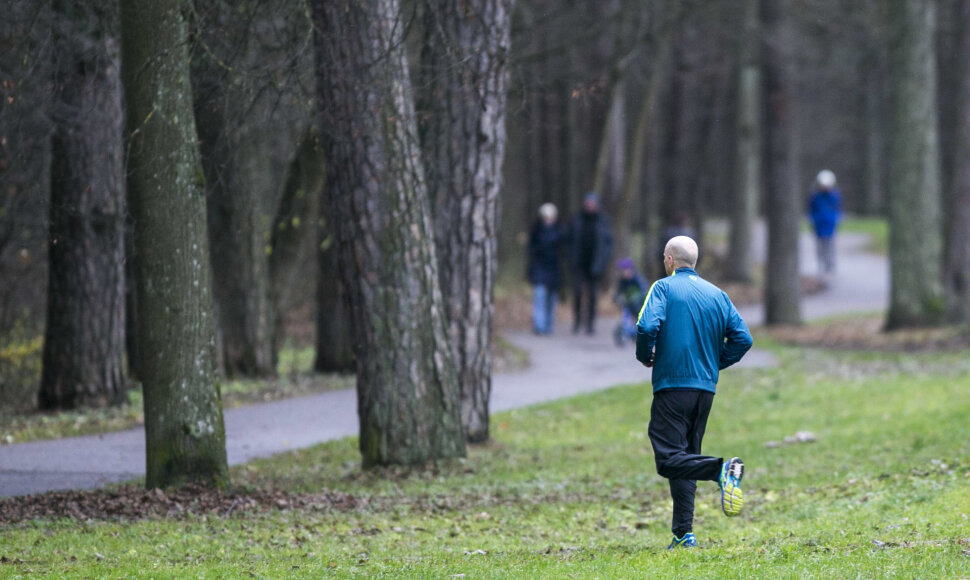 Vingio parkas