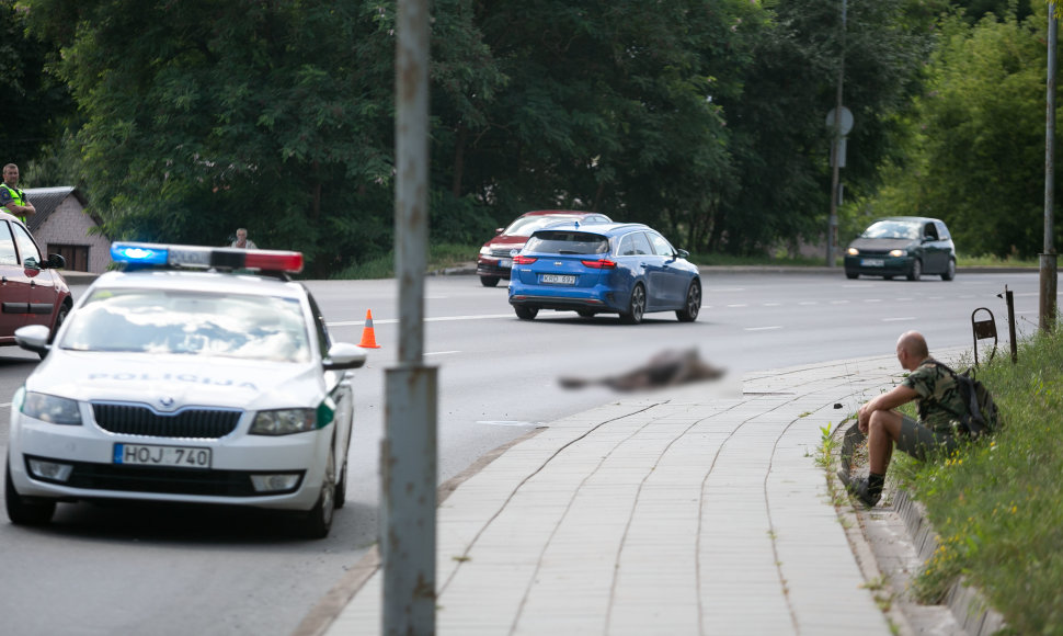 Dunojaus gatvėje nutrenktas į kelią išbėgęs briedis