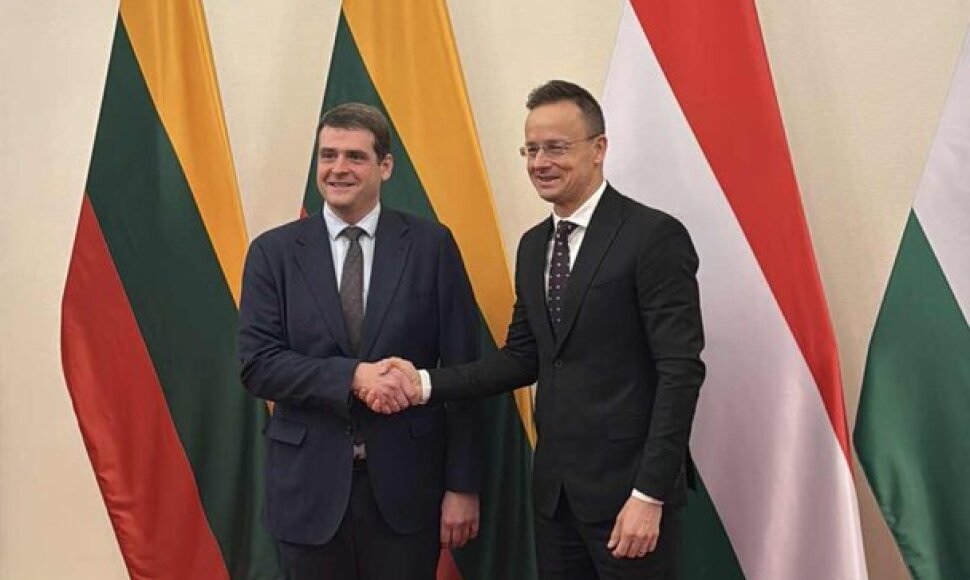Remigijus Žemaitaitis ir Vengrijos užsienio reikalų ir prekybos ministras Peteris Szijjartas