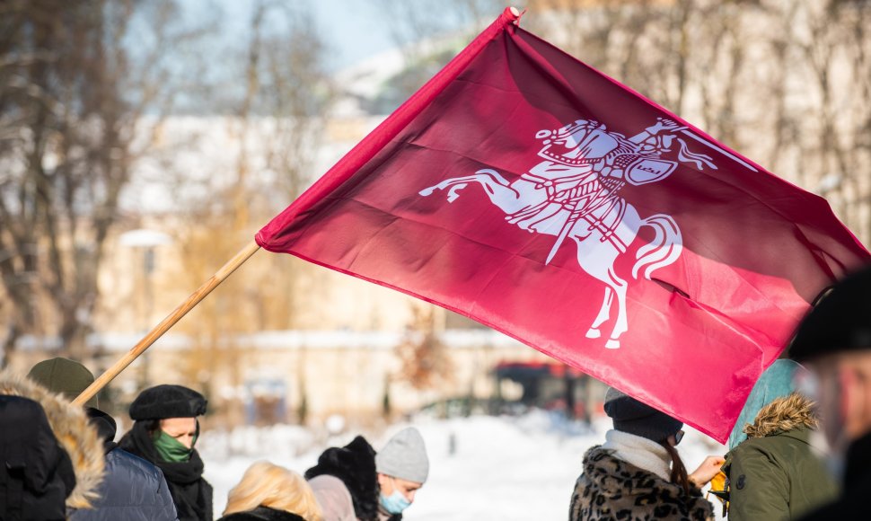 Istorinė Vyčio vėliava Lukiškių aikštėje