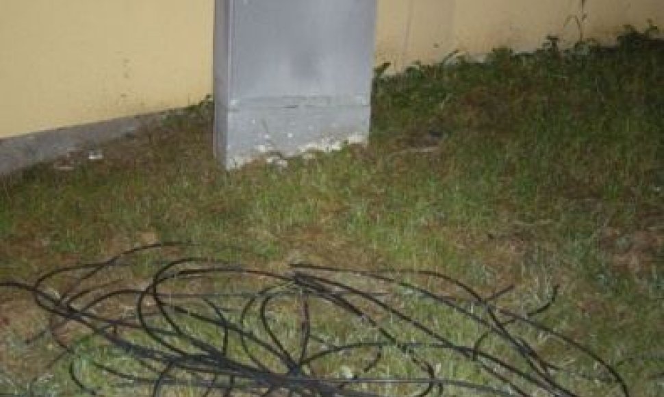 Vagišiai susigundė elektros kabeliais Klaipėdos centriniame stadione.