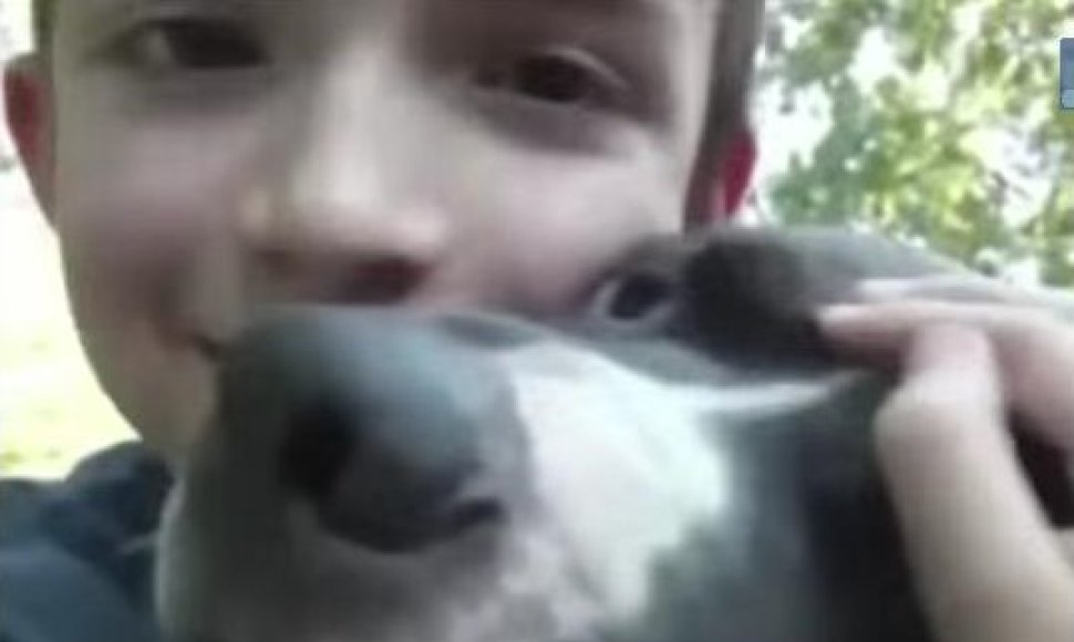 Šuo su išgelbėtu berniuku