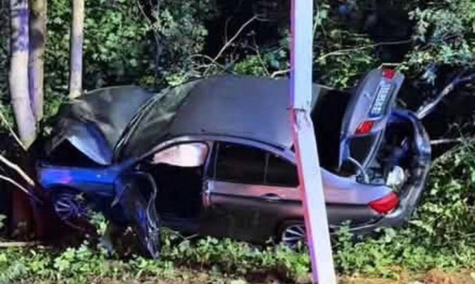 Naujoje Vilnioje BMW rėžėsi į stulpą ir medį