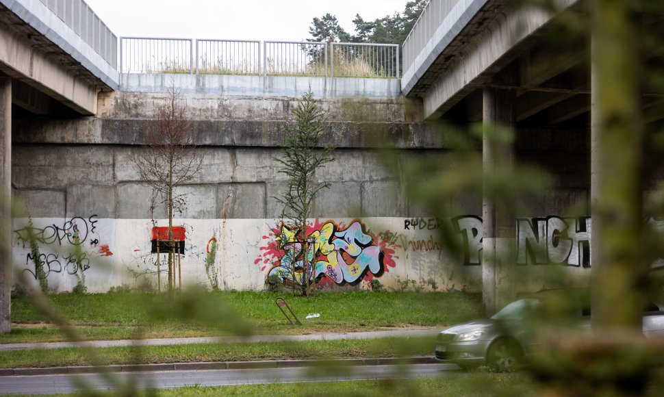 Šiemet pasodinti medžiai Ateities gatvėje ties Geležinio Vilko gatvės viaduku