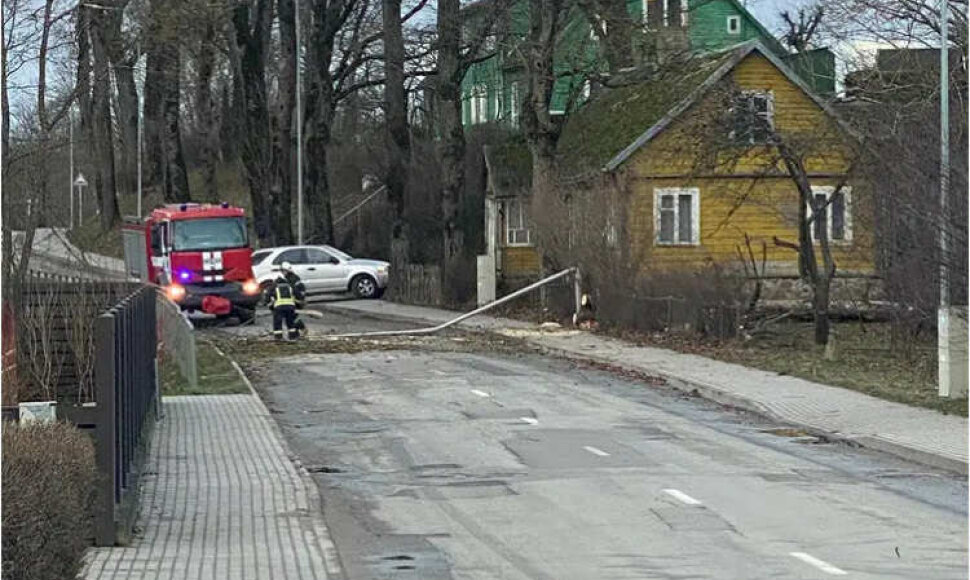 Plungėje nuverstas apšvietimo stulpas