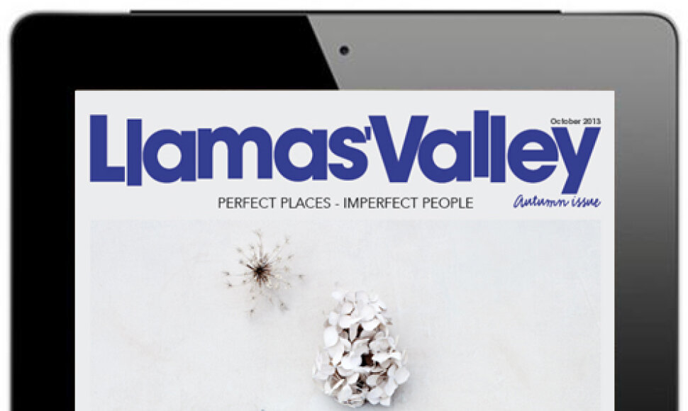 „Llamas Valley“ (iPad versija)