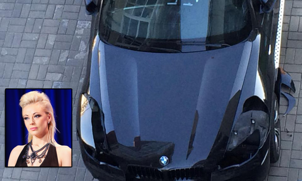 Vilijos Pilibaitytės-Mios BMW X6 suniokojo vagys