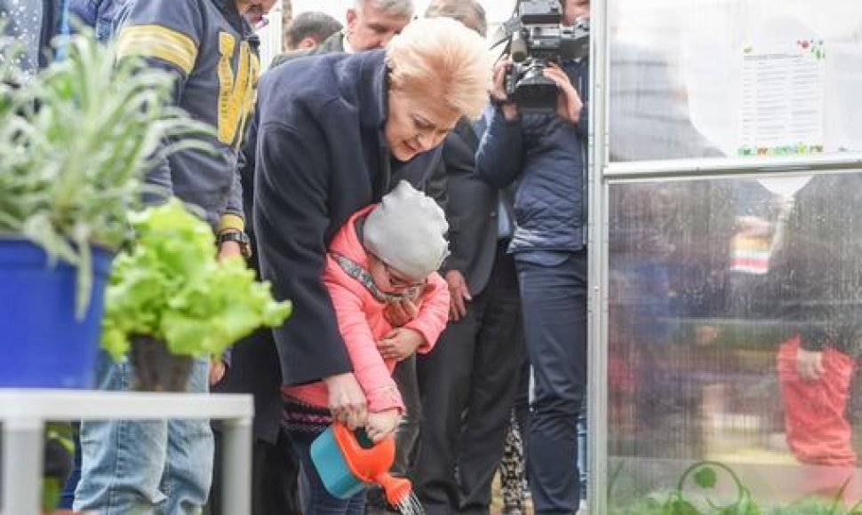 Dalia Grybauskaitė lankėsi Baltupių mikrorajone įsikūrusiame vaikų dienos centre
