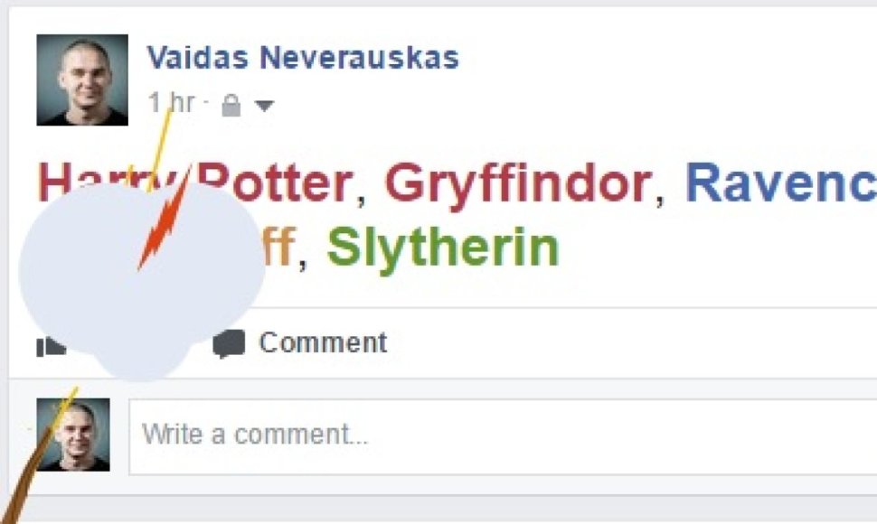 Hario Poterio metinių minėjimo funkcija socialiniame tinkle „Facebook“