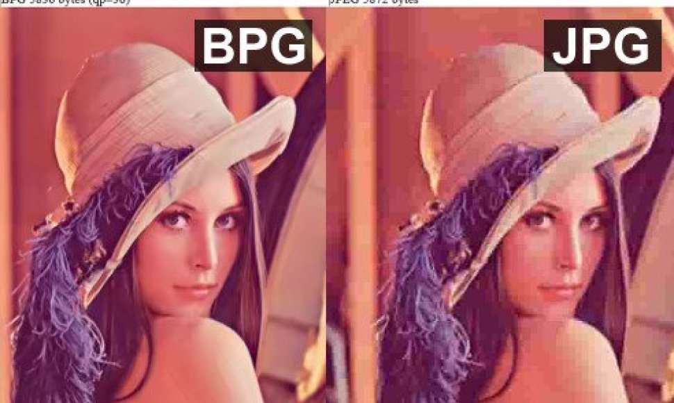 BPG ir JPEG formatų palyginimas