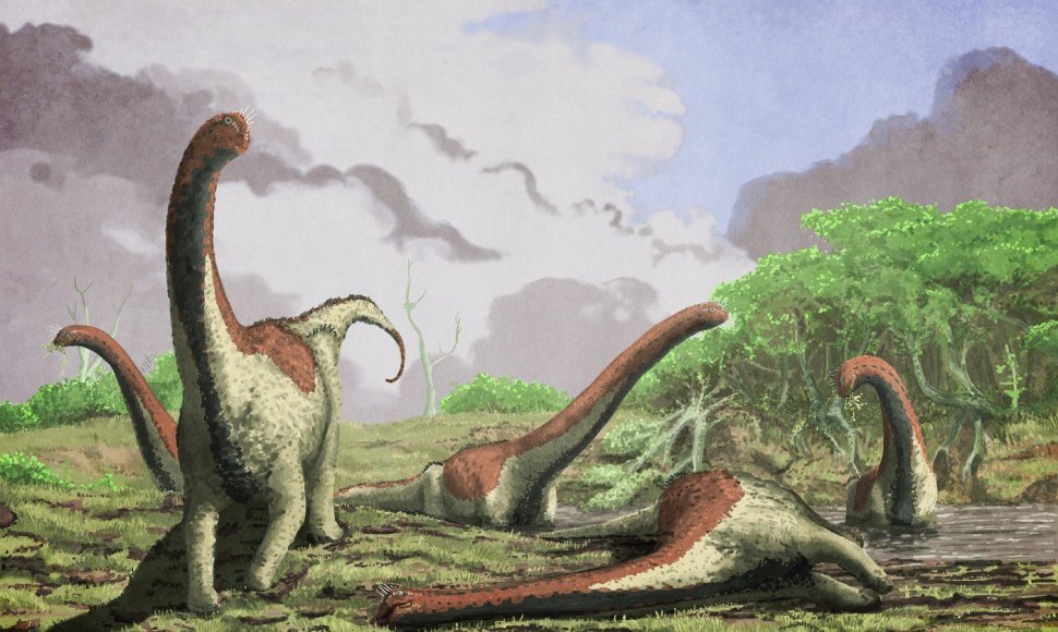 Titanozaurų atvaizdas Portsmuto universitete