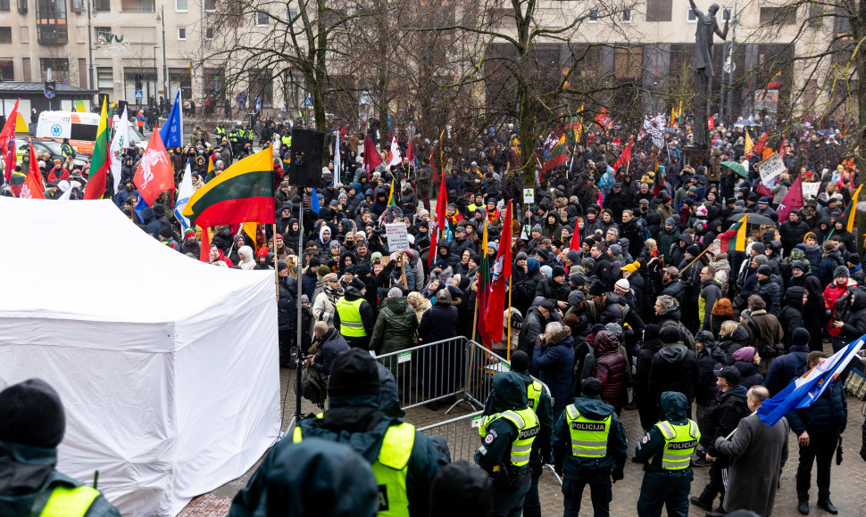 Protestas prie Seimo Sausio 13-ąją