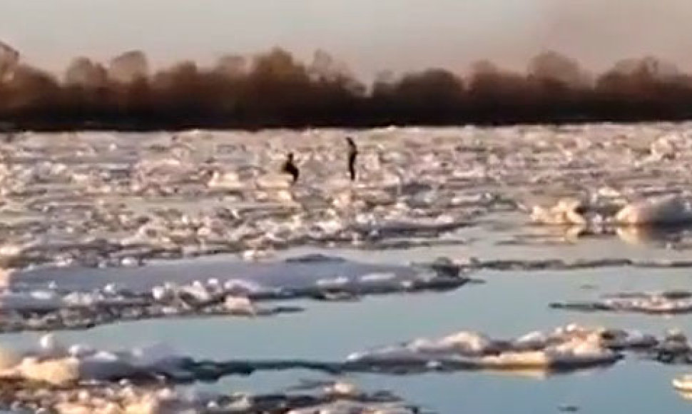 Детей спасли с дрейфующей льдины
