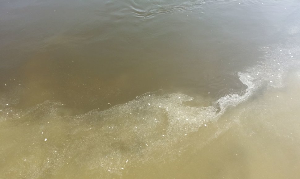 Užterštas Neries vanduo Vilniuje 2014 m. birželio 14 d. 