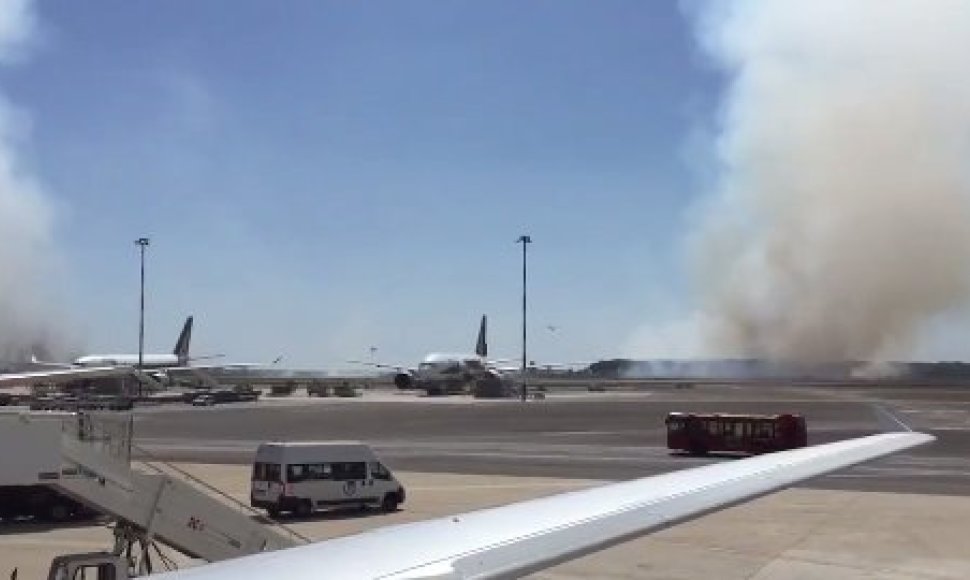 Italijoje dėl gaisro pušyne prie „Fiumicino“ oro uosto netoli Romos atidėti skrydžiai.