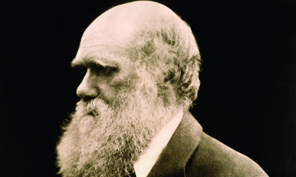 Charlesas Darwinas, 1868 m.