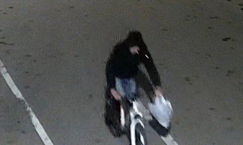 Dviračio vagystė