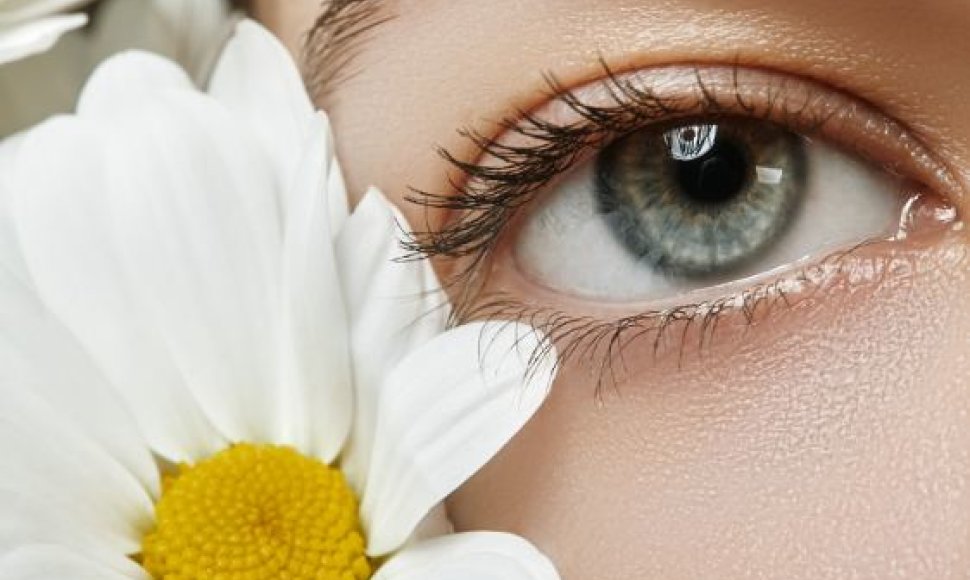 Akių alergija