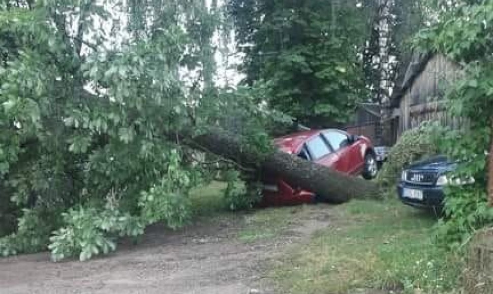 Švenčionėliuose medis prispaudė automobilį