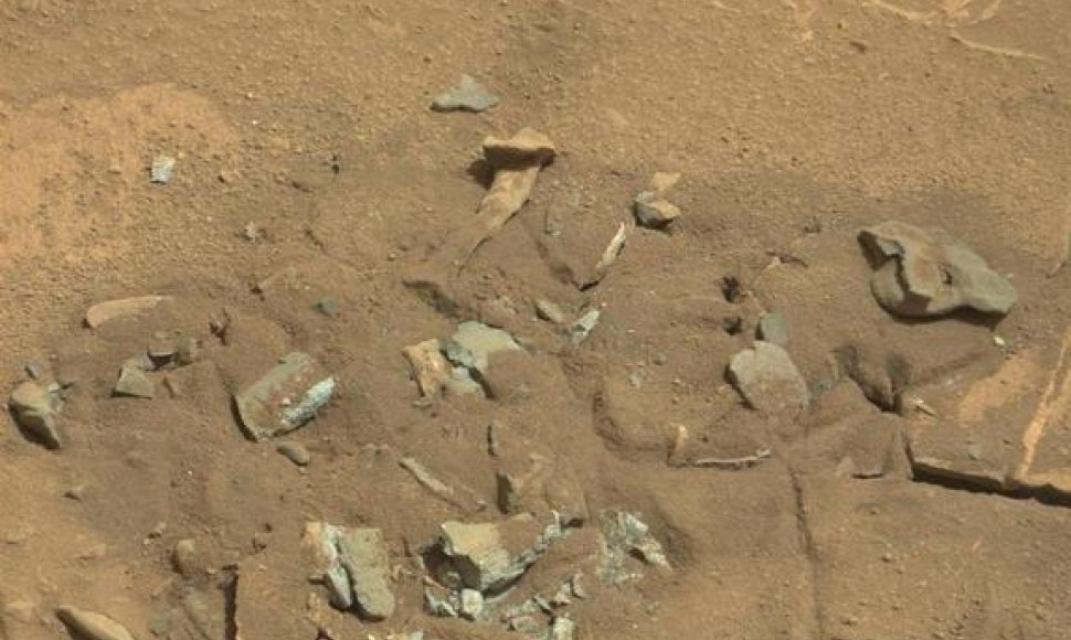 Į žmogaus šlaunikaulį panašus objektas Marse