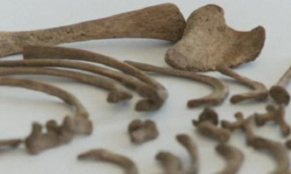 Archeologų rasti kūdikių kaulai rodo, kad jie buvo nužudyti iškart po gimimo.