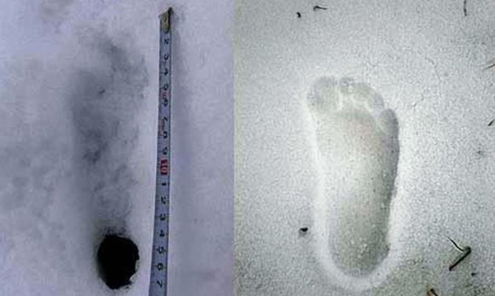 Nepale aptikta „sniego žmogaus“ pėda