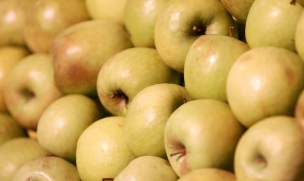 Iš perdirbtų obuolių „Anykščių vynas“ gamina obuolių koncentruotas sultis, obuolių džiovintas išspaudas ir obuolių kvapiąsias medžiagas. 