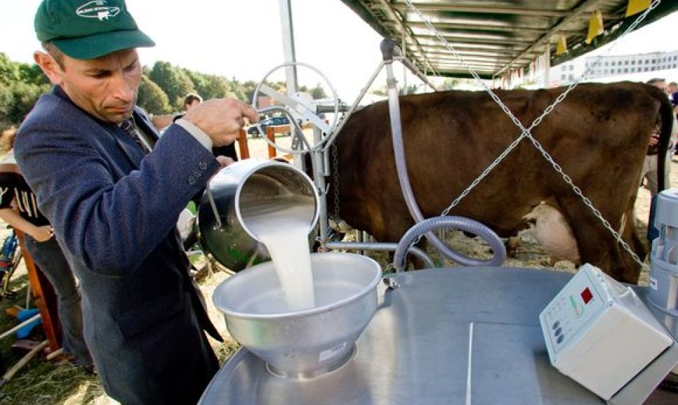 Pieno ir jo produktų kainų augimas artimiausiu metu nesustos.