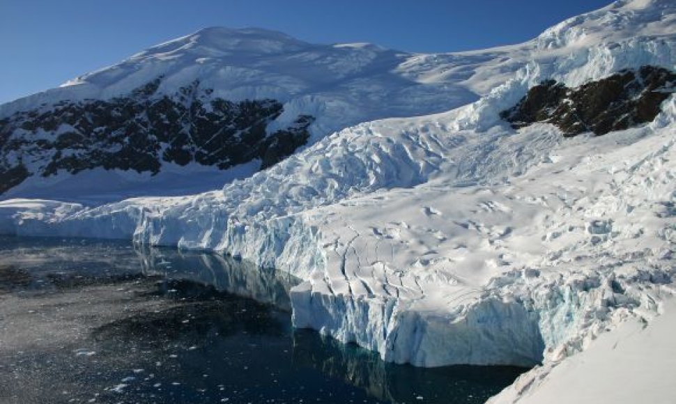 Antarktidos gamta