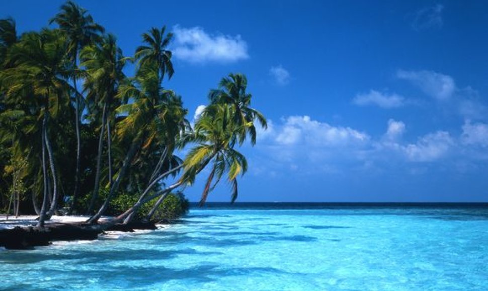 Maldyvų salos