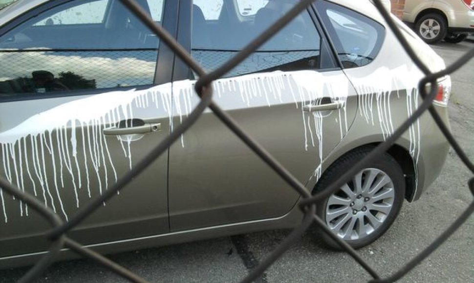 Šis taip suniokotas gelsvas 2009 metais pagamintas „Subaru Impreza“ universalas stovėjo pačiame Vilniaus centre, Barboros Radvilaitės gatvėje.