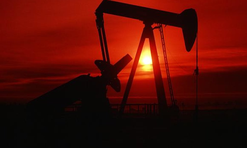 Nors naftos gavyba ir sumažėjo, jos kaina nesulaikomai krenta.