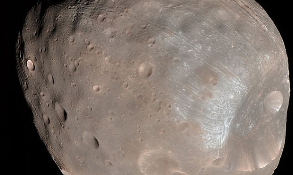 Fobas – Marso palydovas