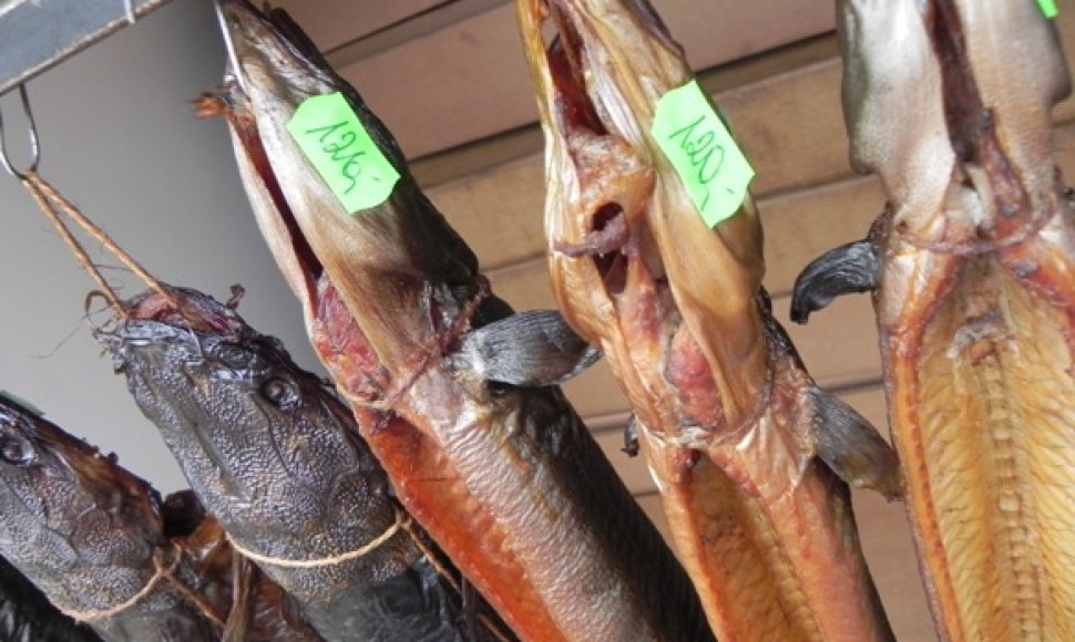 Prekyboje ne itin dažna žuvis ungurys Jūros šventėje kainavo 120 Lt.