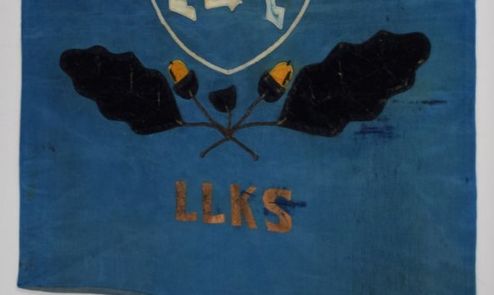 Aukcione siūloma įsigyti Lietuvos partizanų vėliava