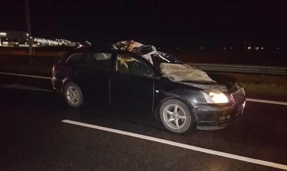 Autostradoje Vilnius-Kaunas „Toyota“ partrenkė išbėgusį briedį
