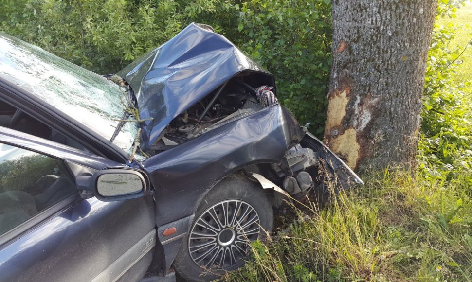 Tauragės rajone automobilis „Renault“ rėžėsi į medį.