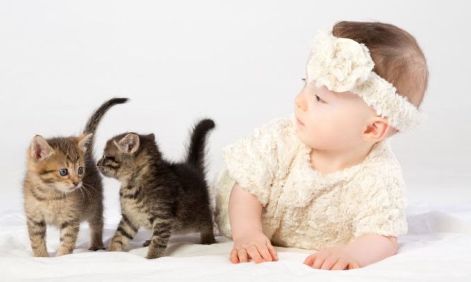 Kūdikis žaidžiai su kačiukais