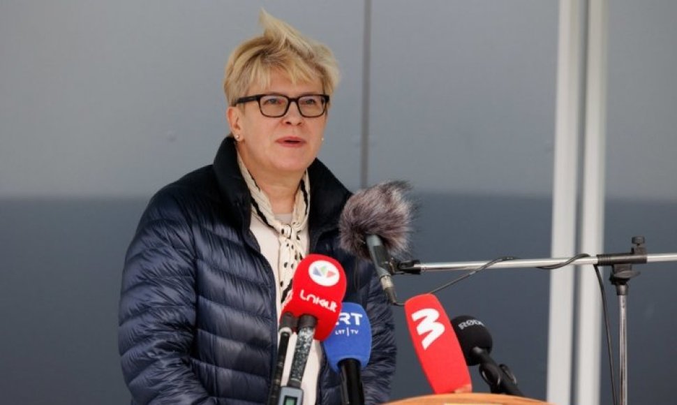 Eriko Ovčarenko / BNS nuotr.