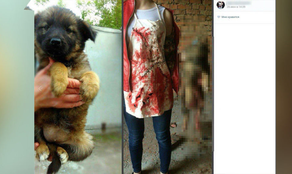 Viena iš gyvūnų žudikių paviešintų nuotraukų socialiniame tinkle „VKontakte“