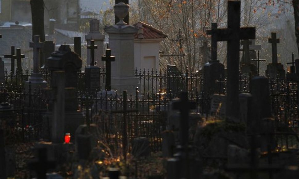 Kapinėse