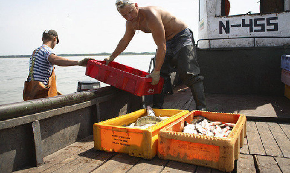 Lietuvos žuvininkystės įmonės vienijasi ir sieks atrasti kelius pas žuvies mėgėjus. 