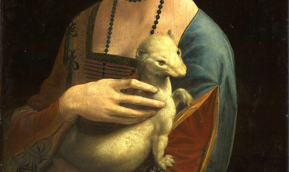 Vienas žymiausių Leonardo da Vinčio paveikslų „Dama su Šermuonėliu“ iš pradžių buvo nutapytas be šermuonėlio