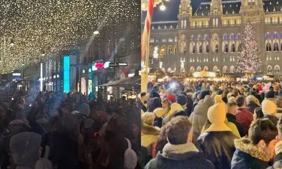 Viena Kalėdų metu