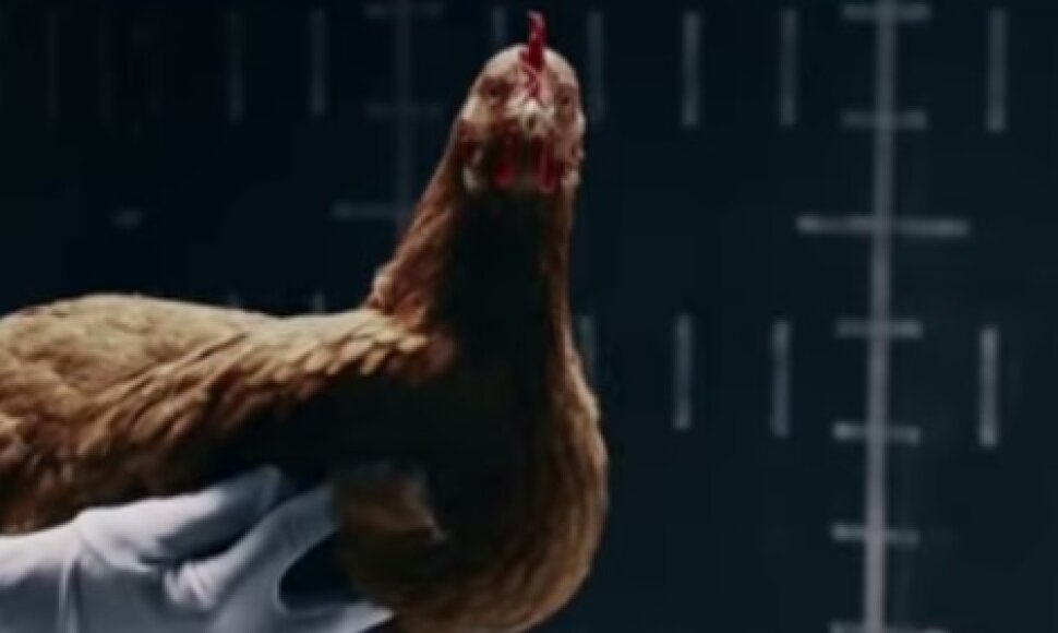 „Mercedes-Benz“ reklamos akimirka