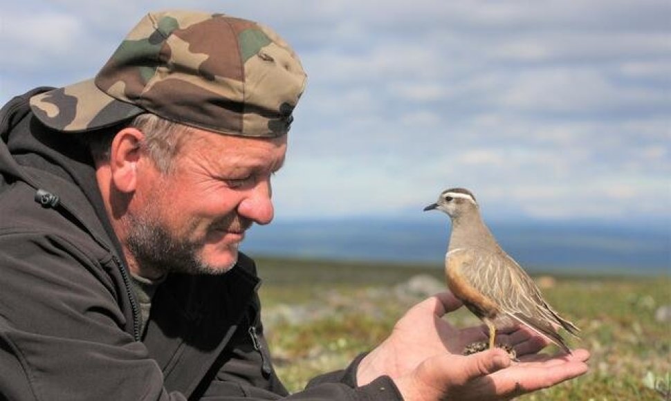 Pašaukimas. Paukščiai Ventės rago ornitologinės stoties vedėją Vytautą Jusį lydi nuo vaikystės, kad ir kur jis būtų. Nuotraukoje – ant delno tupintis mornelis (Suomija).